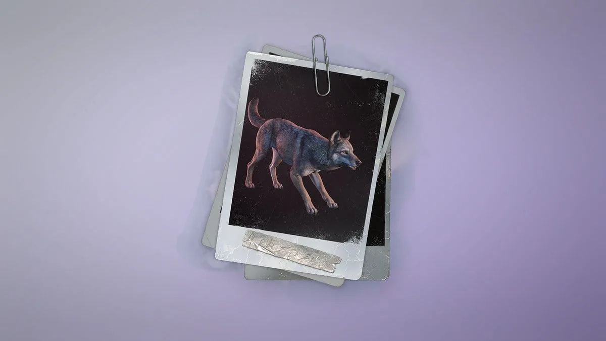 Wolf pictured on a Permafrost journal reference card